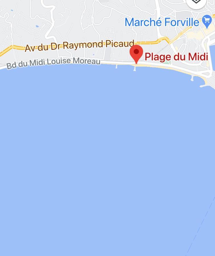 Appartement Rooftop, Premiere Ligne, Vue Mer, 50M De Plage Du Midi Cannes Buitenkant foto